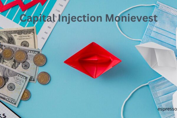  How Capital Injection Monievest Can Help Your Business Grow