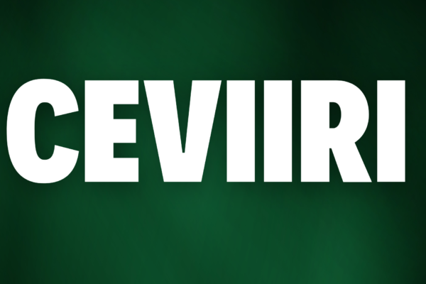 CEVIRI: Bridging Cultures, Connecting Worlds