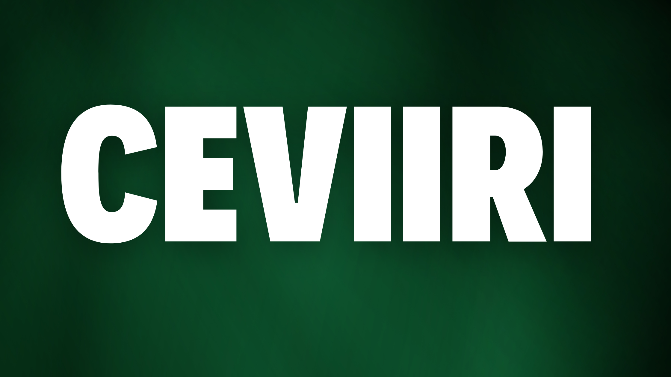 CEVIRI: Bridging Cultures, Connecting Worlds