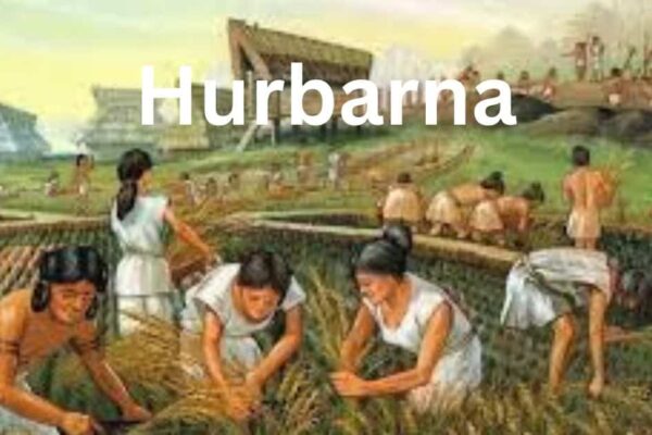 Hurbarna Communities: Building Resilience Through Herbal Agriculture