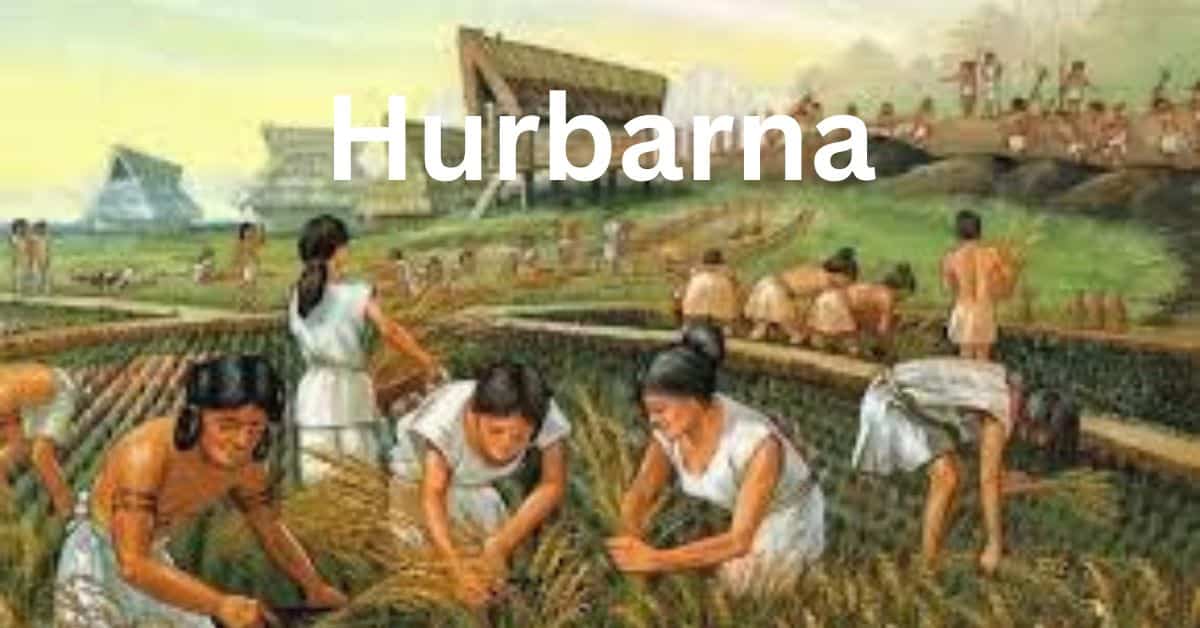 Hurbarna Communities: Building Resilience Through Herbal Agriculture