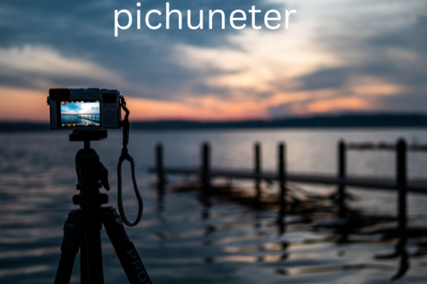 Pichuneter: Enhancing Clarity and Impact in Business Communication