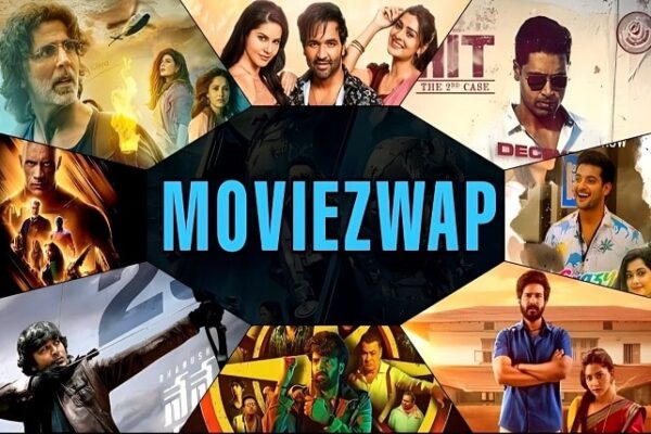 Moviezwap In: Understanding Online Piracy